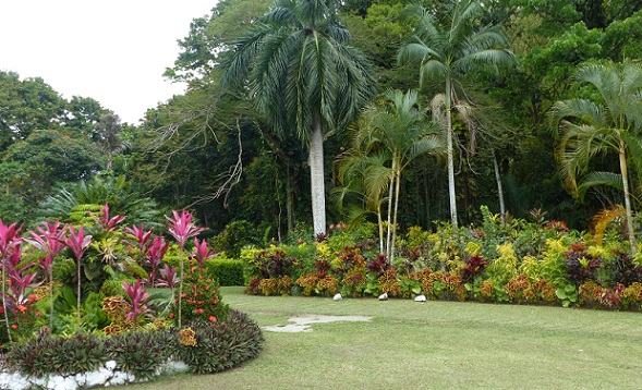 Gardens at Villa Vailima